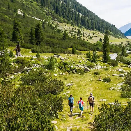 Zillerella - Altholz Design 度假居 Muhlen (Tyrol)